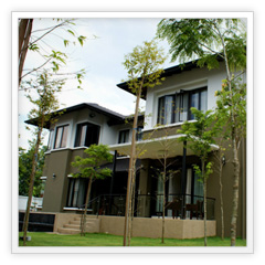 Rustic Modern | Completed | Design & Build | Internal Garden view