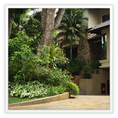 Our Portfolio | Completed | Sierra De La Rose, Sierramas